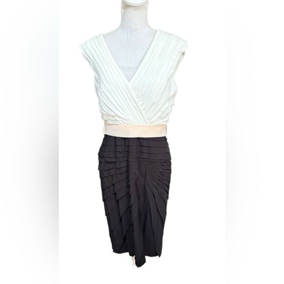Tadashi Shoji Ivory Black Sleeveless Pleated Sheath Dress Size 14 Cocktail NWT - Picture 1 of 8